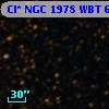 Cl* NGC 1978    WBT    6083