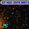 Cl* NGC 1978    WBT    6084