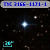 TYC 3166-1171-1