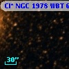 Cl* NGC 1978    WBT    6137