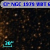 Cl* NGC 1978    WBT    6139
