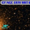 Cl* NGC 1978    WBT    6163