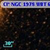 Cl* NGC 1978    WBT    6166