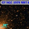 Cl* NGC 1978    WBT    6175