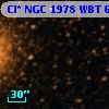 Cl* NGC 1978    WBT    6204