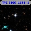 TYC 3166-1181-1