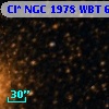 Cl* NGC 1978    WBT    6217