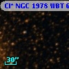 Cl* NGC 1978    WBT    6295