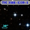 TYC 3166-1239-1
