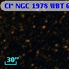 Cl* NGC 1978    WBT    6309