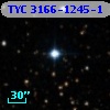 TYC 3166-1245-1