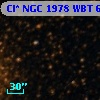 Cl* NGC 1978    WBT    6591