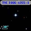 TYC 3166-1355-1