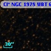 Cl* NGC 1978    WBT    6623