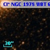 Cl* NGC 1978    WBT    6628