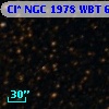 Cl* NGC 1978    WBT    6667