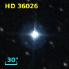 HD  36026