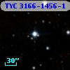 TYC 3166-1456-1