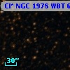 Cl* NGC 1978    WBT    6909