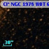Cl* NGC 1978    WBT    6915