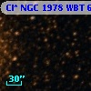 Cl* NGC 1978    WBT    6917