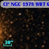 Cl* NGC 1978    WBT    6932