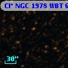 Cl* NGC 1978    WBT    6951