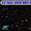 Cl* NGC 1978    WBT    6964