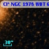 Cl* NGC 1978    WBT    6969