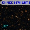 Cl* NGC 1978    WBT    6971