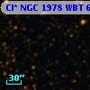 Cl* NGC 1978    WBT    6976