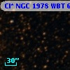 Cl* NGC 1978    WBT    6978