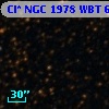 Cl* NGC 1978    WBT    6995