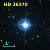 HD  36370