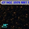 Cl* NGC 1978    WBT    7003