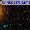 Cl* NGC 1978    WBT    7004
