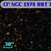 Cl* NGC 1978    WBT    7005