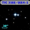 TYC 3166-1664-1