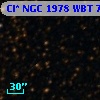 Cl* NGC 1978    WBT    7006