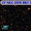 Cl* NGC 1978    WBT    7007