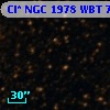 Cl* NGC 1978    WBT    7013