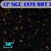 Cl* NGC 1978    WBT    7015