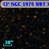 Cl* NGC 1978    WBT    7018