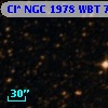Cl* NGC 1978    WBT    7019