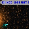 Cl* NGC 1978    WBT    7020