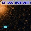 Cl* NGC 1978    WBT    7023