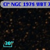Cl* NGC 1978    WBT    7025