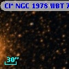 Cl* NGC 1978    WBT    7031