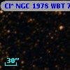 Cl* NGC 1978    WBT    7032
