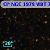 Cl* NGC 1978    WBT    7041